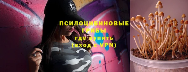ГАЛЛЮЦИНОГЕННЫЕ ГРИБЫ Лиски