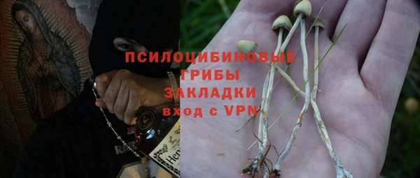 ГАЛЛЮЦИНОГЕННЫЕ ГРИБЫ Лиски