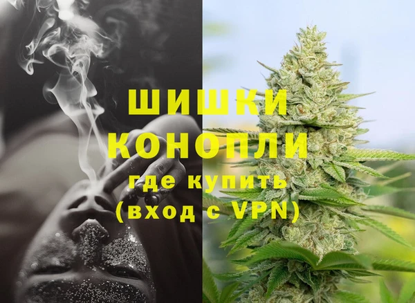 ГАЛЛЮЦИНОГЕННЫЕ ГРИБЫ Лиски