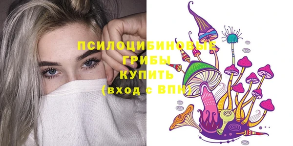 ГАЛЛЮЦИНОГЕННЫЕ ГРИБЫ Лиски