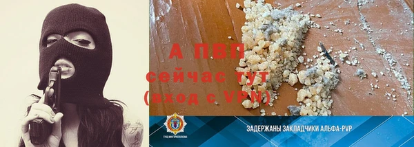индика Медвежьегорск
