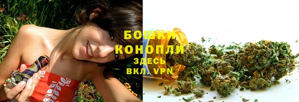 ГАЛЛЮЦИНОГЕННЫЕ ГРИБЫ Лиски