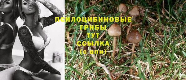 соль курить ск Лихославль