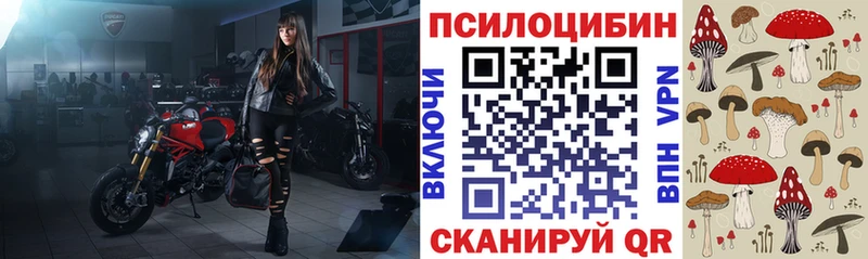 Псилоцибиновые грибы GOLDEN TEACHER  Купить  Кингисепп 