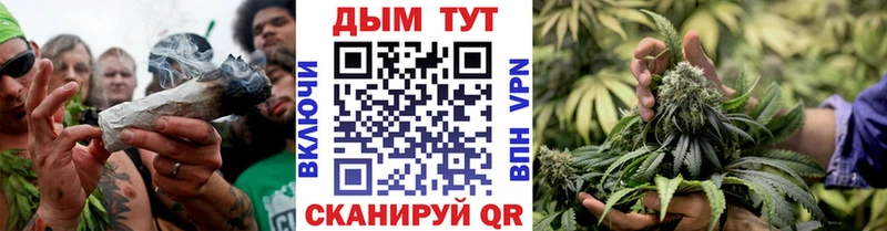 Канабис OG Kush Кингисепп